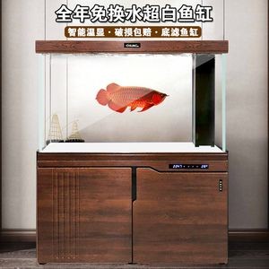 養(yǎng)龍魚(yú)的魚(yú)缸用白底還是黑底好看：養(yǎng)龍魚(yú)的魚(yú)缸底色選擇一直是魚(yú)友們熱議的話題并沒(méi)有一個(gè)固定的答案