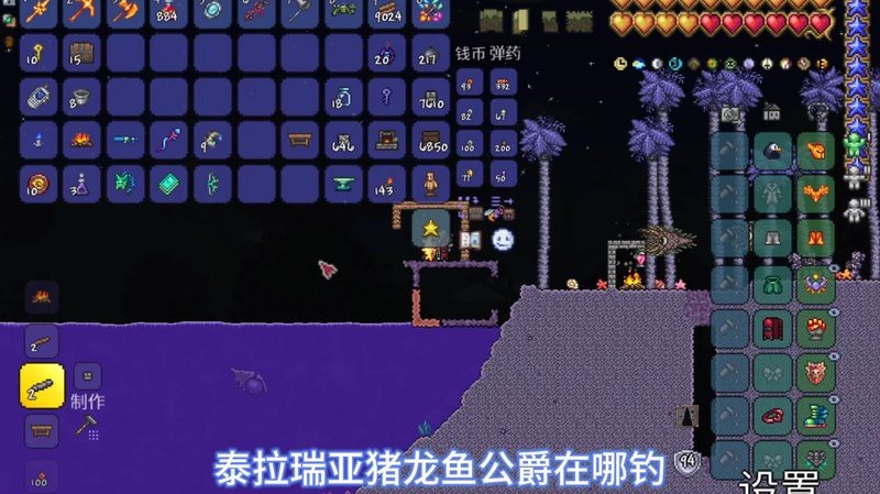 豬龍魚在哪釣？