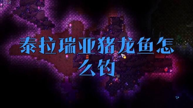 豬龍魚在哪釣？