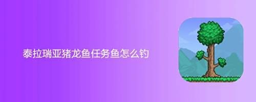 豬龍魚在哪釣？