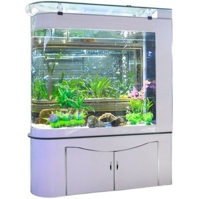 國內最好的魚缸：國內最好的魚缸品牌有哪些？