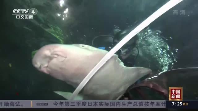 杭州龍魚搬遷最新消息新聞聯(lián)播