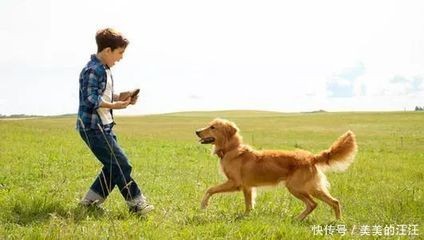 龍魚殺菌用什么藥最好：龍魚殺菌藥物使用方法