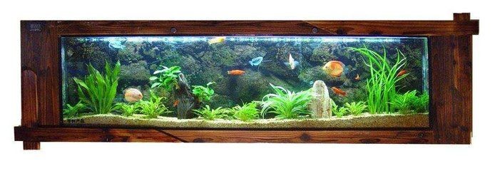 魚缸降溫對水質的影響：魚缸降溫對水質有影響嗎？