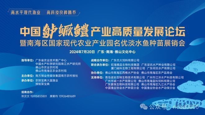 銀河星鉆魚市場供需關系（銀河星鉆魚價格波動趨勢）