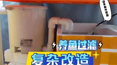 花盆改造成魚缸盆景需要注意的幾種方法和注意事項：花盆改造成魚缸盆景的幾種方式
