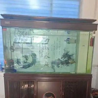 郵寄魚缸運費：郵寄魚缸時產(chǎn)生的運費問題,德邦物流大件運輸優(yōu)勢 郵寄魚缸運費：郵寄魚缸時產(chǎn)生的運費問題,德邦物流大件運輸優(yōu)勢 魚缸百科 第1張