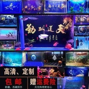 郵寄魚缸運費：郵寄魚缸時產(chǎn)生的運費問題,德邦物流大件運輸優(yōu)勢 郵寄魚缸運費：郵寄魚缸時產(chǎn)生的運費問題,德邦物流大件運輸優(yōu)勢 魚缸百科 第5張