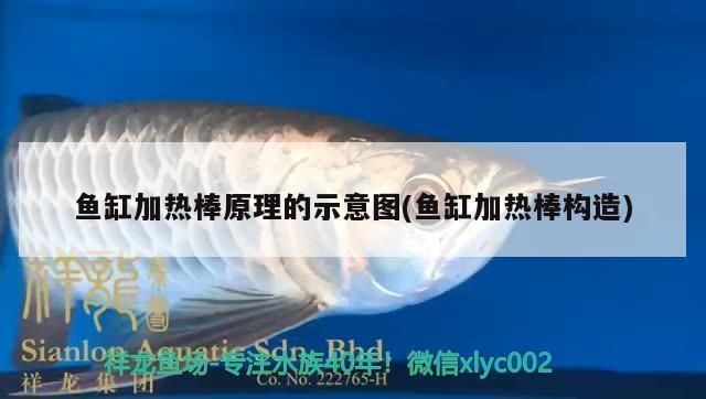 魚缸加熱棒好不好:如何選擇合適的魚缸加熱棒 魚缸百科 第4張 魚缸加熱棒好不好:如何選擇合適的魚缸加熱棒 魚缸加熱棒好不好:如何選擇合適的魚缸加熱棒 魚缸百科 第4張
