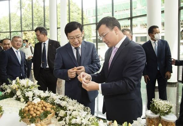 東南亞市場對龍眼有何獨特需求？