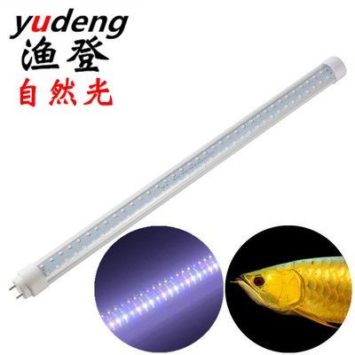 <strong><mark>靖宇</mark></strong>縣文濤水族館