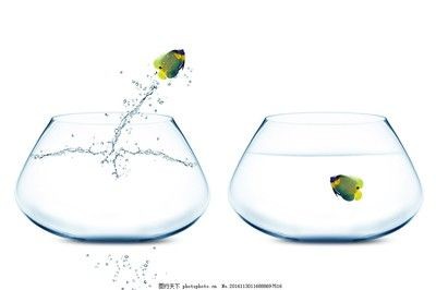 魚缸里的魚總往出蹦是咋回事?:為什么魚缸里的魚總往外蹦 魚缸百科 第4張 魚缸里的魚總往出蹦是咋回事?:為什么魚缸里的魚總往外蹦 魚缸里的魚總往出蹦是咋回事?:為什么魚缸里的魚總往外蹦 魚缸百科 第4張
