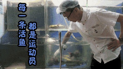 魚缸里的魚總往出蹦是咋回事?:為什么魚缸里的魚總往外蹦 魚缸百科 第5張 魚缸里的魚總往出蹦是咋回事?:為什么魚缸里的魚總往外蹦 魚缸里的魚總往出蹦是咋回事?:為什么魚缸里的魚總往外蹦 魚缸百科 第5張