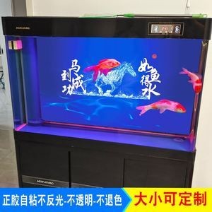 魚缸背景貼怎么貼：魚缸背景貼維護(hù)技巧，