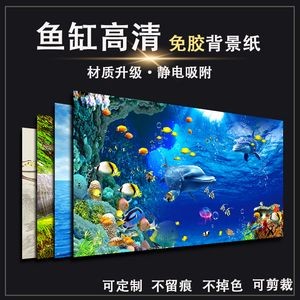 魚缸背景貼怎么貼：魚缸背景貼維護(hù)技巧，