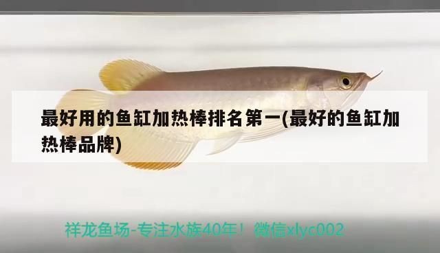 品牌魚缸加熱棒排名第一的是哪款：2024年魚缸加熱棒排名第一yee不銹鋼加溫棒用戶反饋匯總