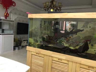 秀英水族館（秀英區水庫有哪些）