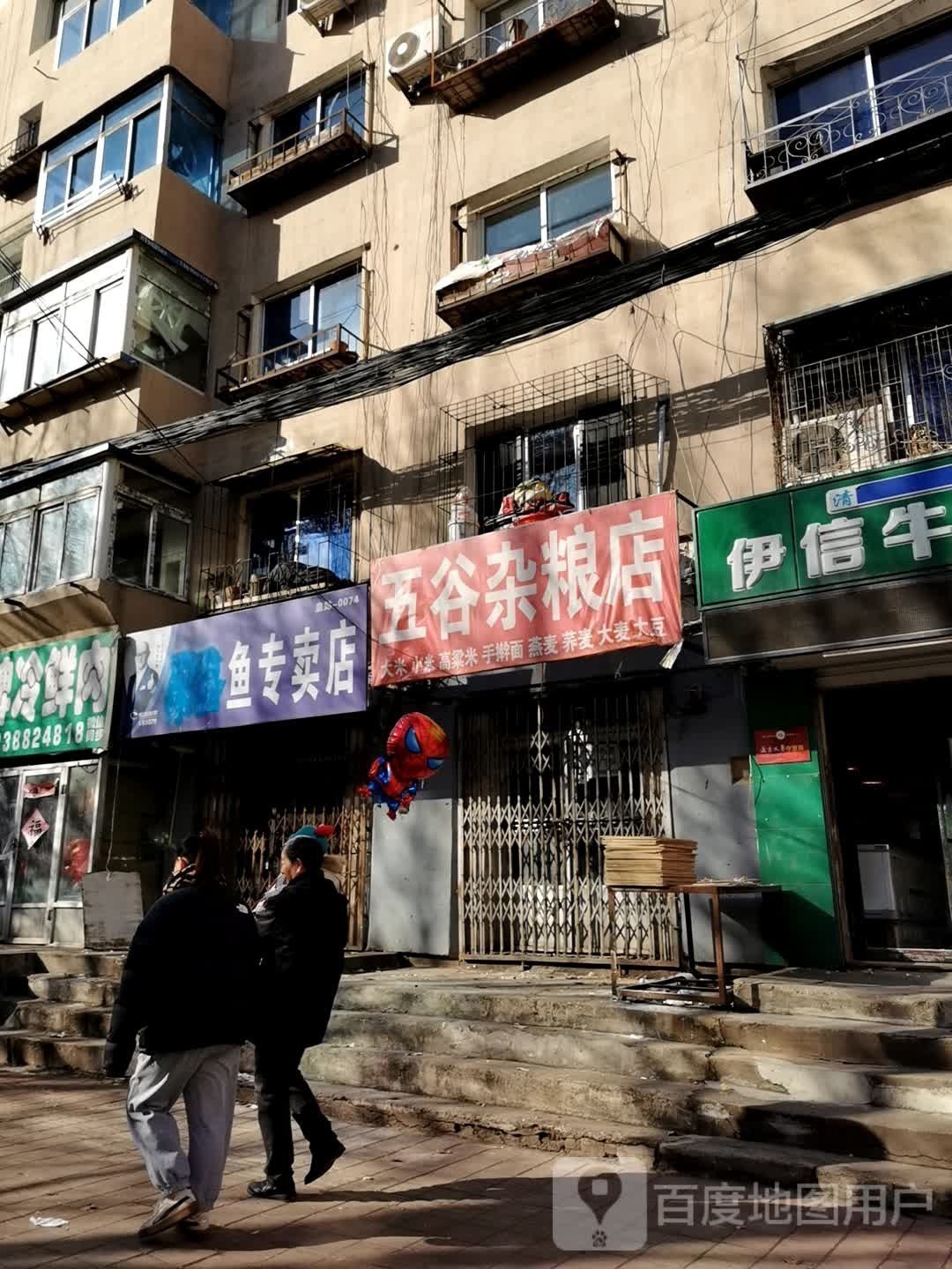 沈陽有賣雷龍魚的嗎在哪里啊