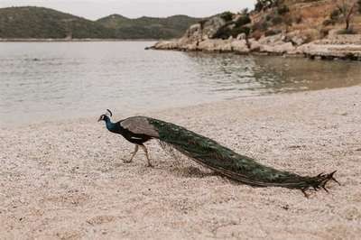 紅鯉魚魚缸水溫調(diào)節(jié)到22-24度，水溫調(diào)節(jié)到22-24度：如何科學(xué)調(diào)節(jié)紅鯉魚的水溫 紅鯉魚魚缸水溫調(diào)節(jié)到22-24度，水溫調(diào)節(jié)到22-24度：如何科學(xué)調(diào)節(jié)紅鯉魚的水溫 魚缸百科 第3張