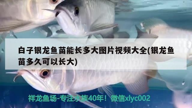 縣廣<strong><mark>惠水</mark></strong>族店