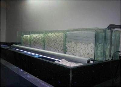 綿陽城區(qū)森森水族館（綿陽城區(qū)森森水族館電話）