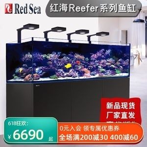 調(diào)節(jié)紅海魚缸下水的方法：如何調(diào)節(jié)紅海魚缸下水 調(diào)節(jié)紅海魚缸下水的方法：如何調(diào)節(jié)紅海魚缸下水 魚缸百科 第3張