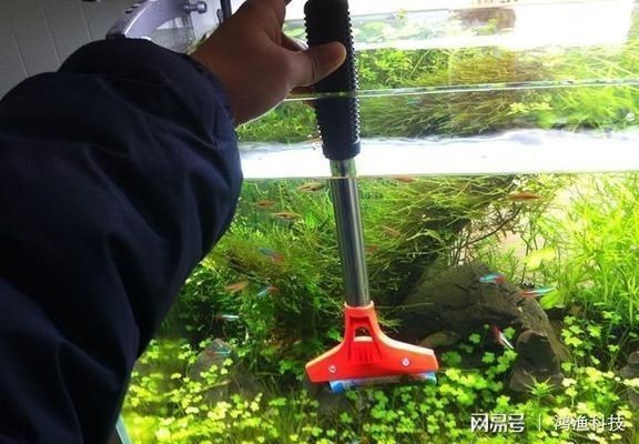 海豚魚缸水質澄清劑怎么用：海豚魚缸水質澄清劑怎么用海豚魚缸水質澄清劑的使用方法