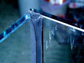 魚缸粘接技術解析：底包邊魚缸出現滲水或破損的情況是可以進行補救的