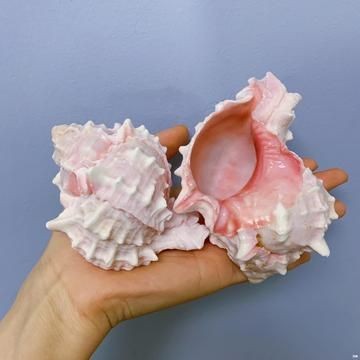 意境魚缸造景效果圖：使用意境魚缸造景效果圖來設計室內景觀的方法和方法