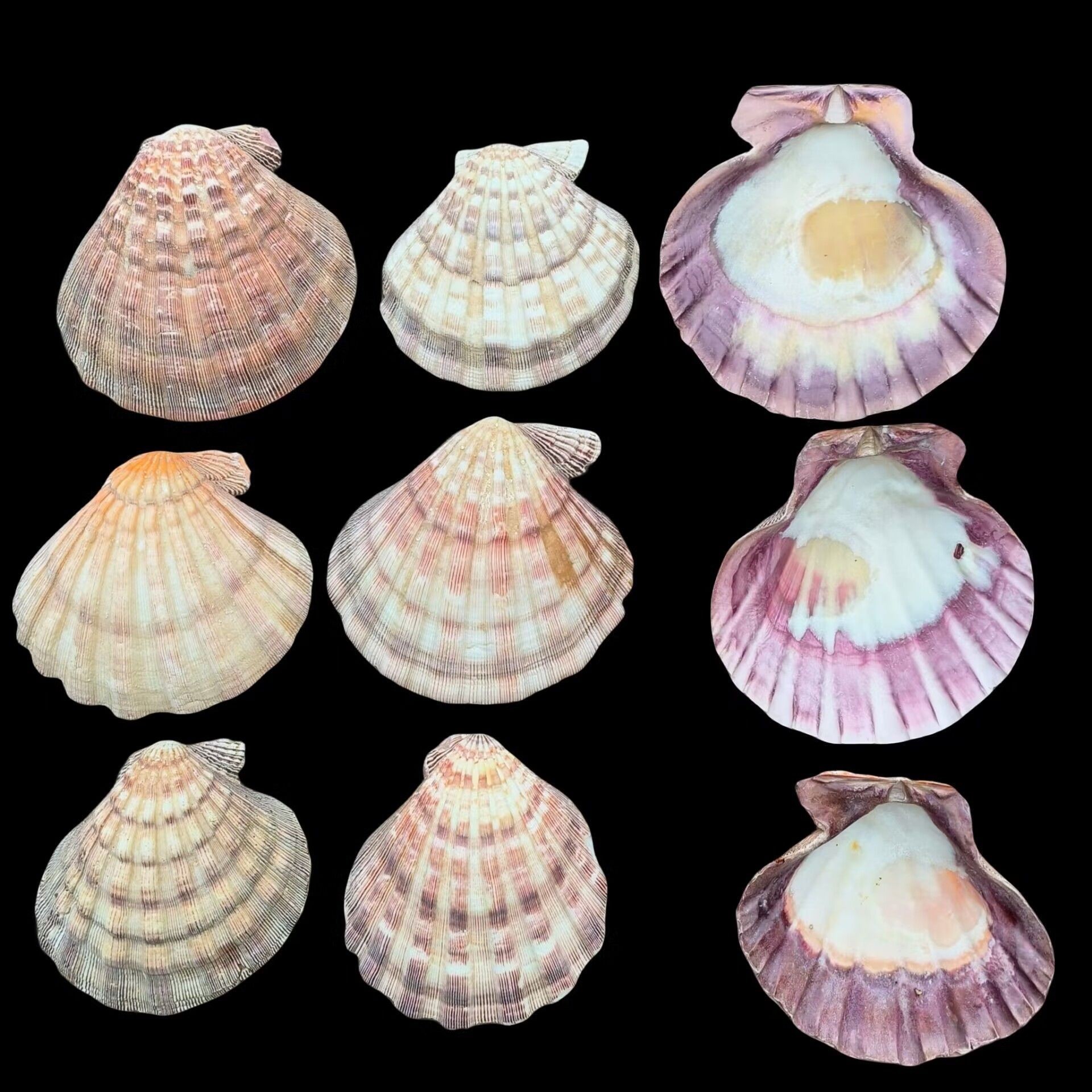 意境魚缸造景效果圖：使用意境魚缸造景效果圖來設計室內景觀的方法和方法