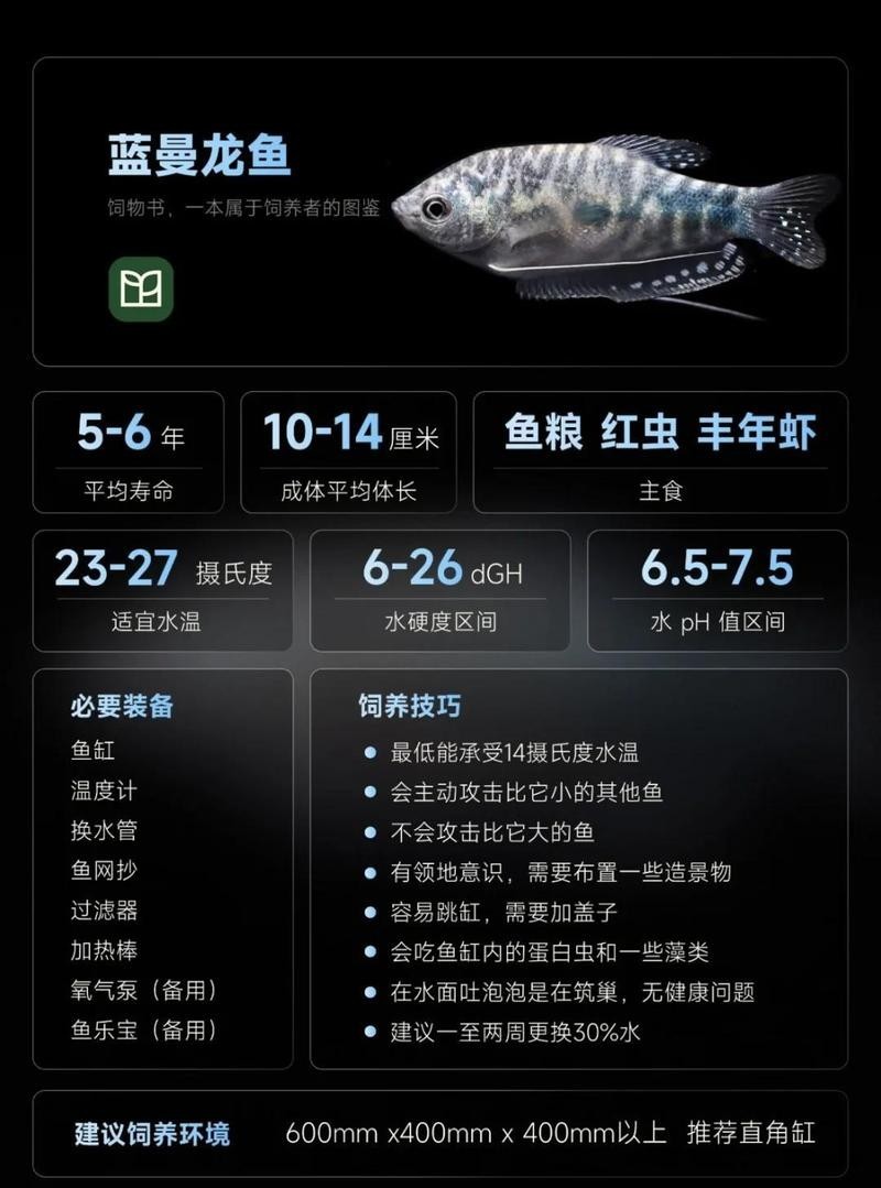 黃龍魚藍龍魚 黃龍魚藍龍魚 龍魚百科 第9張