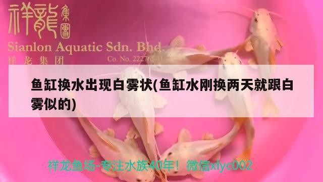 金壇茂盛觀賞魚專業<strong><mark>合作</mark></strong>社
