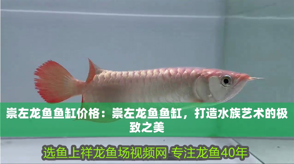 <strong><mark>崇左</mark></strong>龍魚魚缸價格：<strong><mark>崇左</mark></strong>龍魚魚缸，打造水族藝術(shù)的極致之美