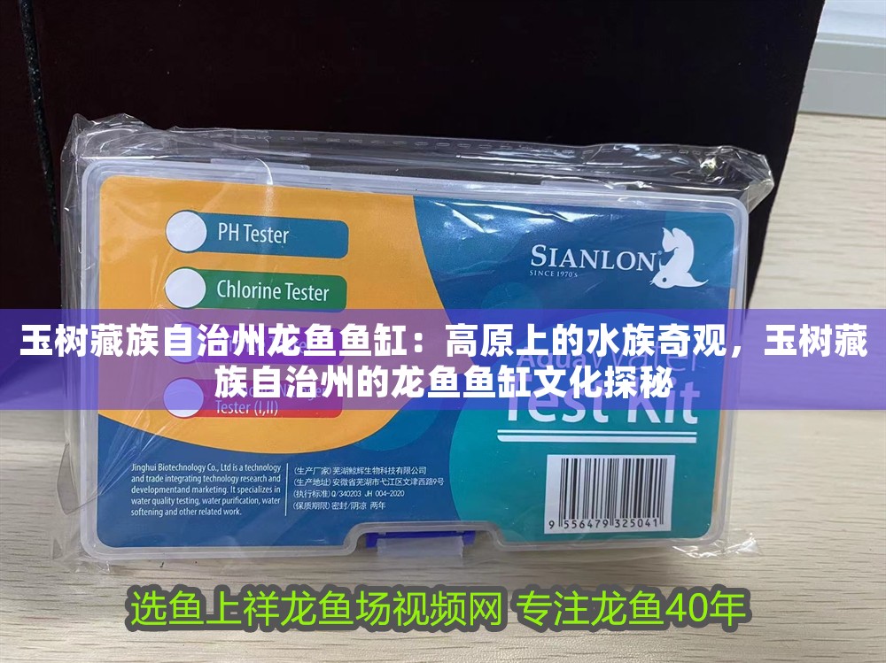 玉樹藏族自治州龍魚魚缸：高原上的水族奇觀，玉樹藏族自治州的龍魚魚缸文化探秘