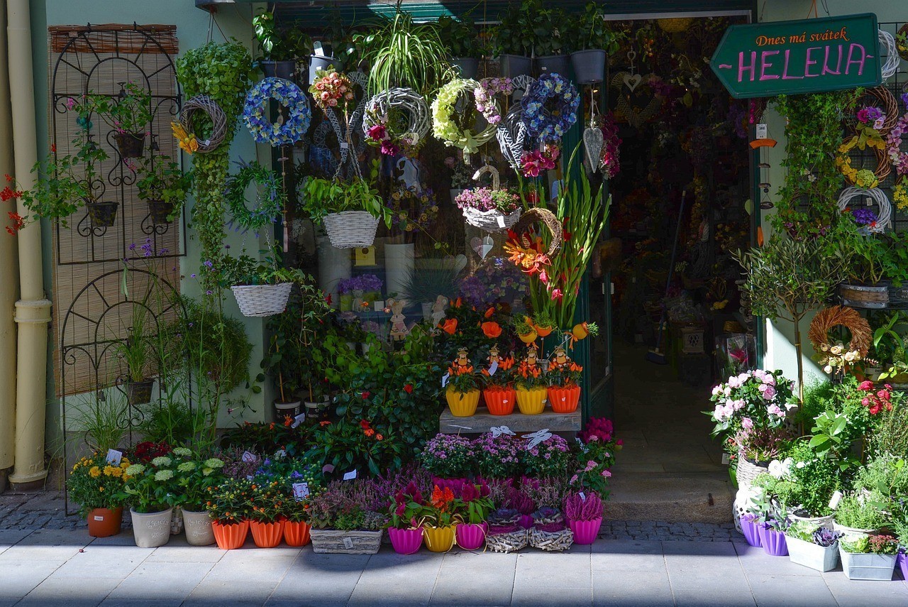動力區(qū)花卉大市場超群水族店