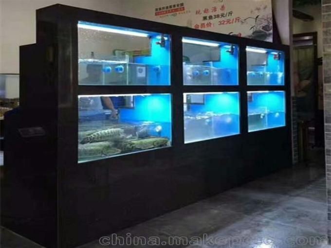 黑魚魚缸養殖技術是什么：黑魚怎么養黑魚養殖技術 黑魚魚缸養殖技術是什么：黑魚怎么養黑魚養殖技術 魚缸百科 第3張