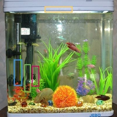 魚缸水質(zhì)渾濁怎么辦：剛給魚缸換完水，發(fā)現(xiàn)水質(zhì)渾濁