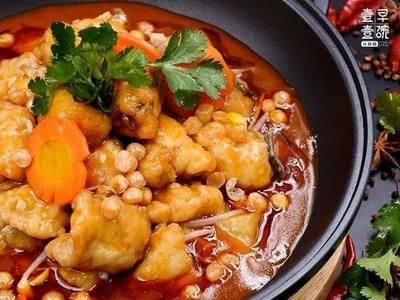 龍魚能不能吃雞肉：關于龍魚是否能吃雞肉的詳細分析
