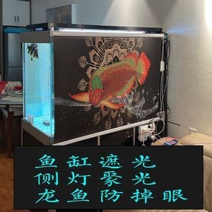 龍魚冬天上色用多少k的燈（冬季飼養龍魚時，選擇合適的燈光色溫對于龍魚上色至關重要）