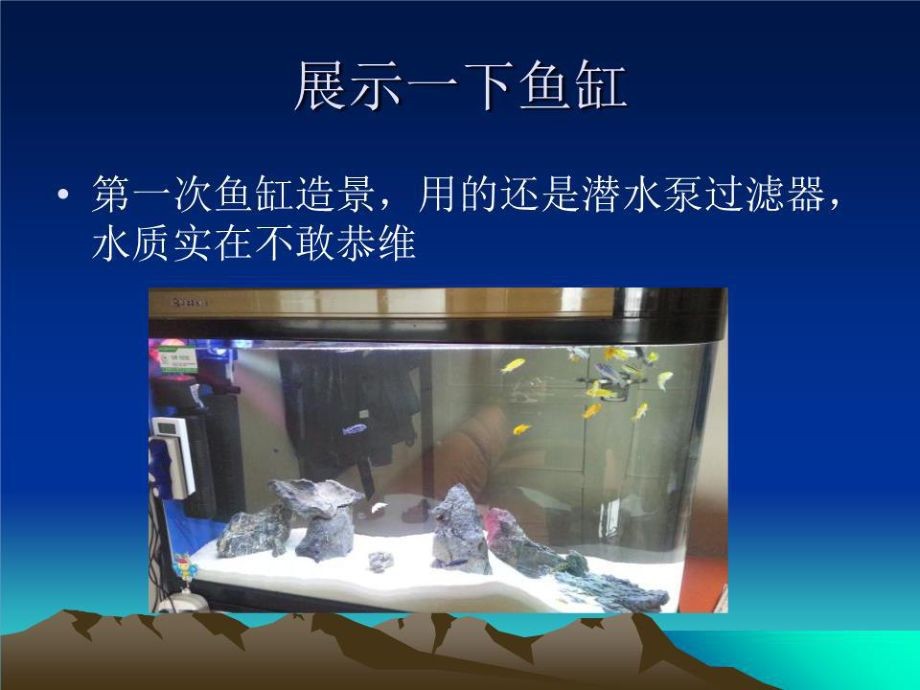 鯛科魚魚缸造景（鯛科魚缸造景需要考慮到多種因素，鯛科魚魚缸造景需要注意什么）