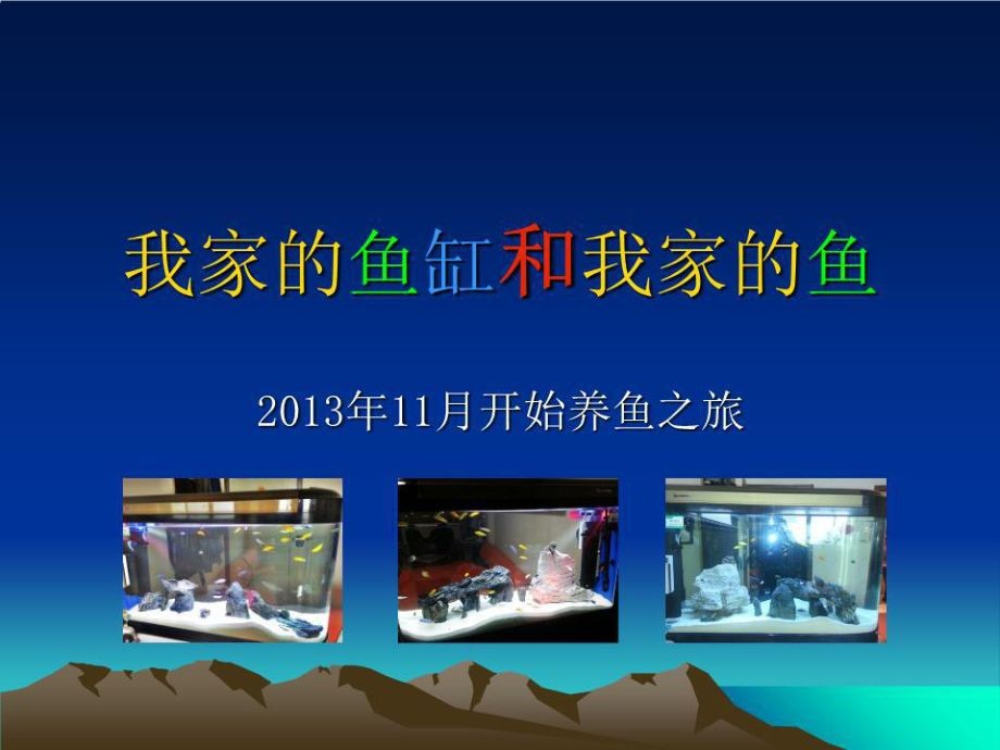 鯛科魚魚缸造景（鯛科魚缸造景需要考慮到多種因素，鯛科魚魚缸造景需要注意什么）