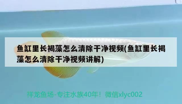 天津市東麗區森霖之海水族工作室，天津森森水族電話 天津市東麗區森霖之海水族工作室，天津森森水族電話 全國水族館企業名錄 第2張