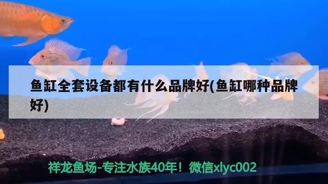 武強縣科析儀器儀表廠簡介（武強縣科析儀器儀表廠及其地址武強縣科析儀器儀表廠及其地址）