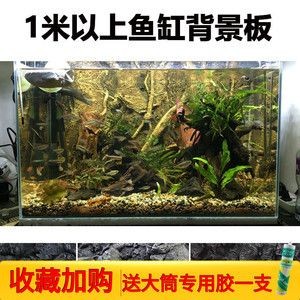 一米魚缸背景墻效果圖：一米高的魚缸背景墻裝飾元素推薦魚缸水景設計案例欣賞