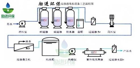 皇宮vip龍魚官網下載：皇宮VIP龍魚官網下載，探索龍魚之美與養殖藝術