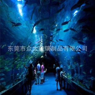 廣州越美水族魚缸是否使用鋼化玻璃：廣州越美水族魚缸安全標準了解魚缸安全標準對于選擇