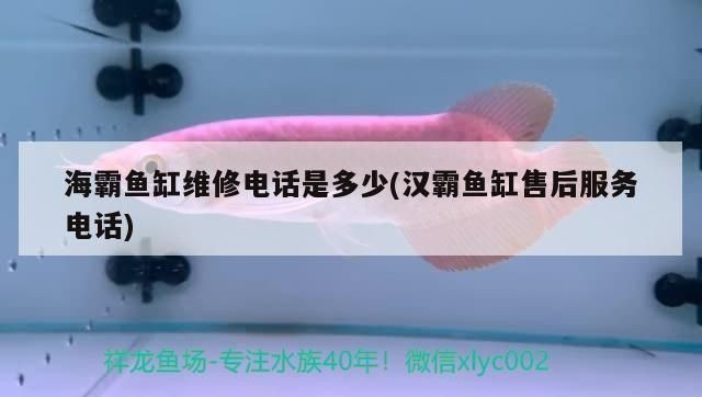 海霸魚缸客服電話號碼