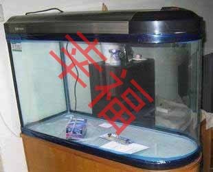 閩江魚(yú)缸時(shí)間和日期的調(diào)整方法：如何調(diào)整閩江魚(yú)缸的時(shí)間和日期 閩江魚(yú)缸時(shí)間和日期的調(diào)整方法：如何調(diào)整閩江魚(yú)缸的時(shí)間和日期 魚(yú)缸百科 第2張