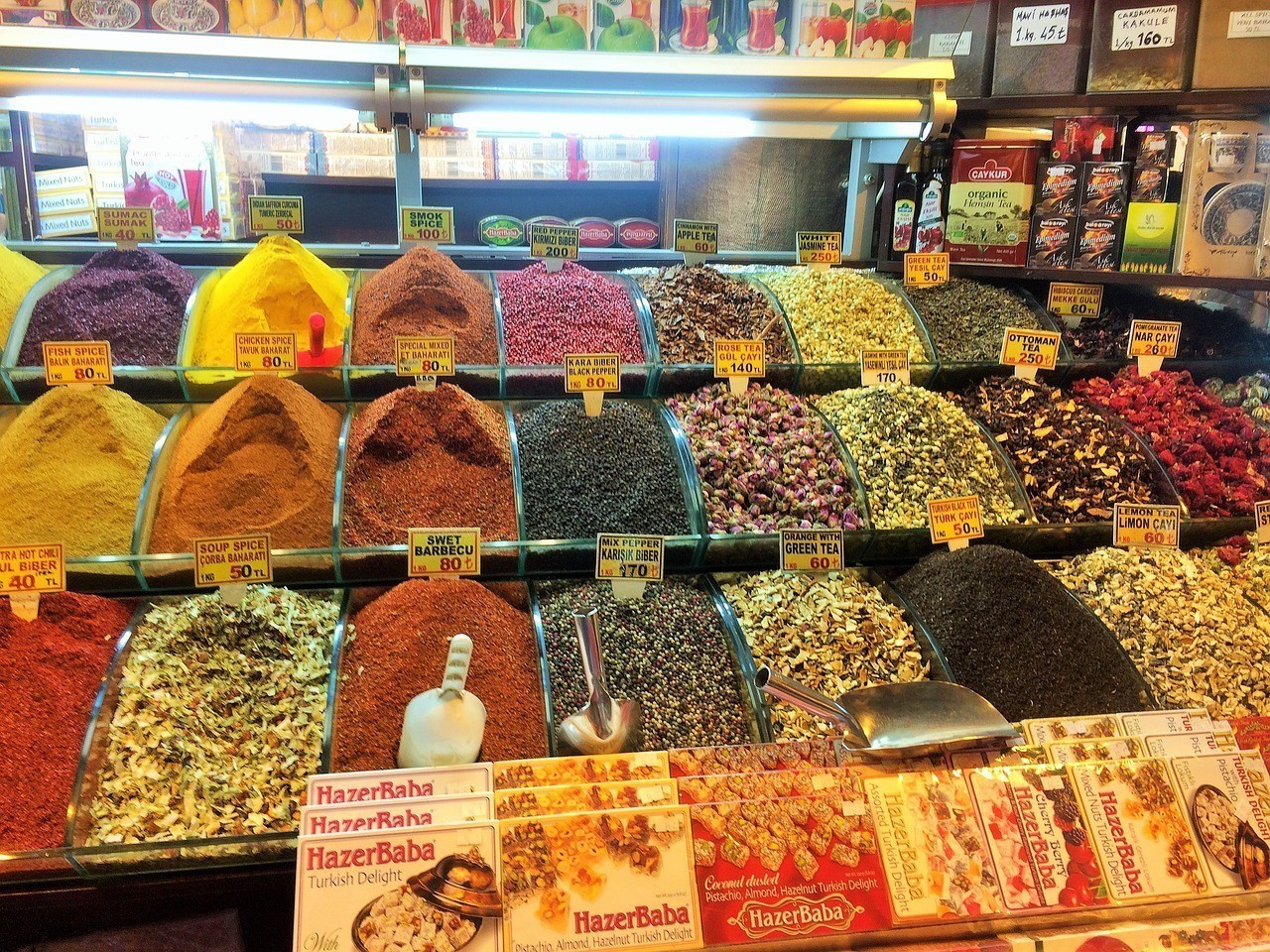 昌吉市金龍魚(yú)觀賞魚(yú)店 昌吉市金龍魚(yú)觀賞魚(yú)店 全國(guó)水族館企業(yè)名錄 第3張