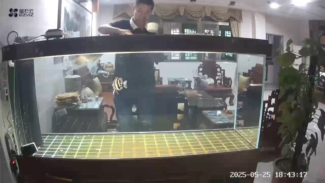2024-09-10來的小龍